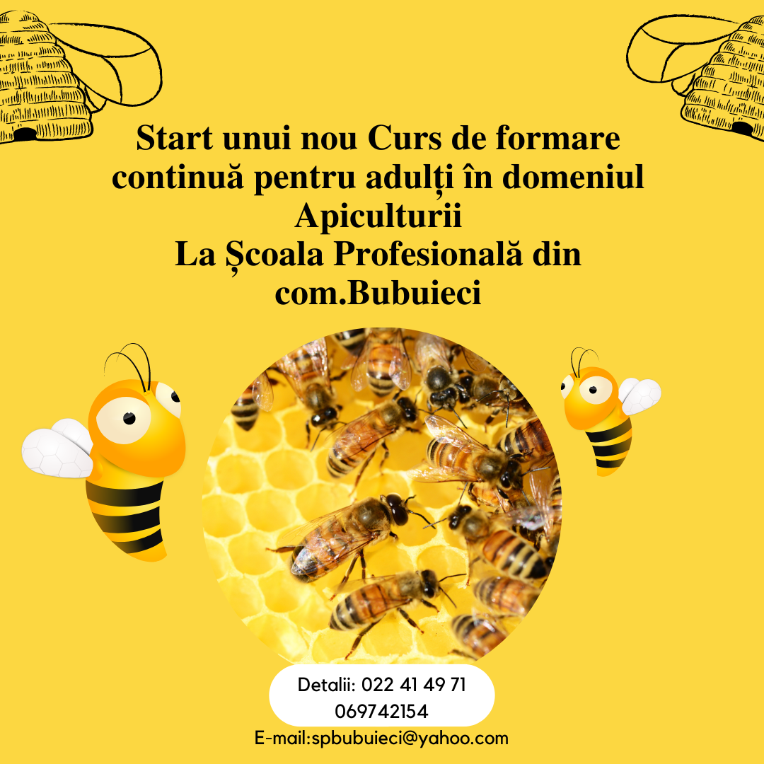 Cursuri de formare continua Apicultor