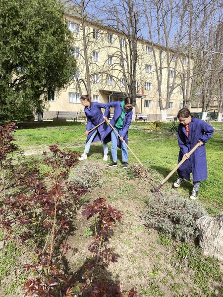 Gândim verde, gândiți ca noi !!!!