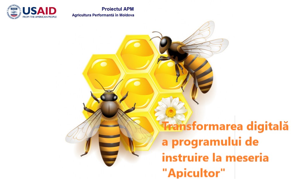 “Transformarea digitală a programului de instruire la meseria “Apicultor”
